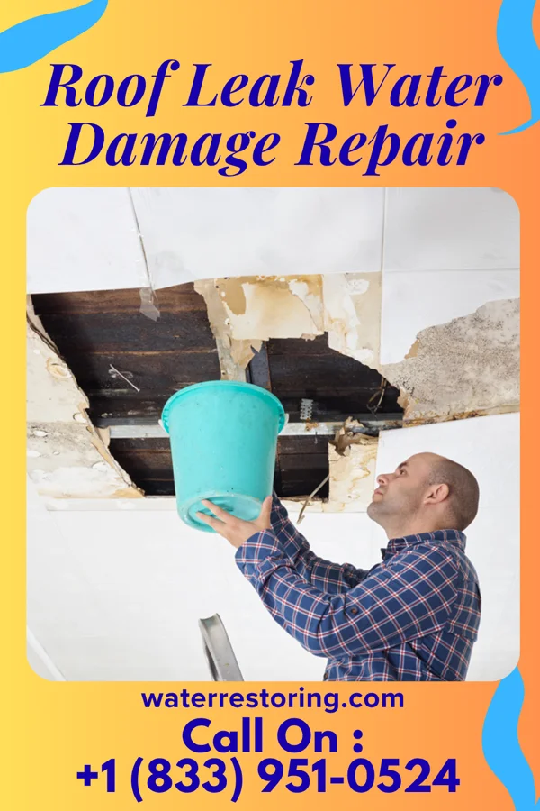 Roof Leak Water Damage Repair in Millsap, TX