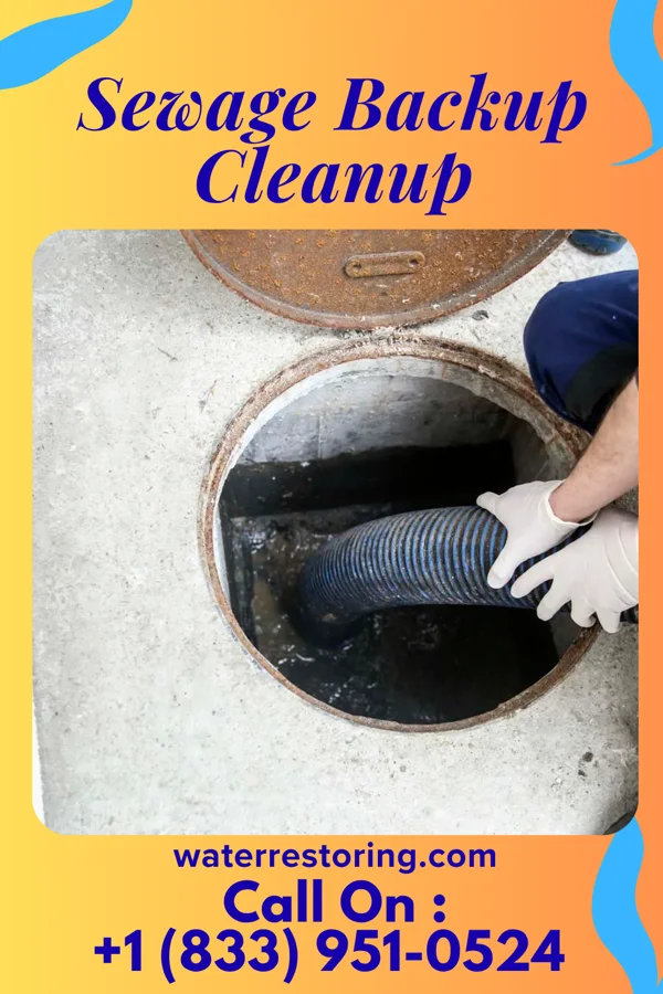 Sewage Backup Cleanup in Millsap, TX